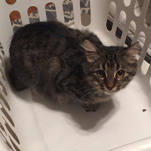 Meet your Posher, Kelley